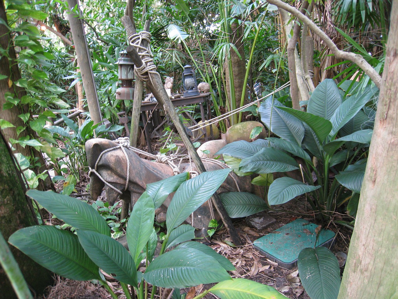 Vacation 2007-12 - Beaches Disney Hotels 0883.jpg - On the 2007-08 Florida vacation we visited beaches from Fort Myers to Sanibel Island sampling local food along the way. Green water and white sugar beaches! Arriving at Disney World we visited several of the theme resorts.